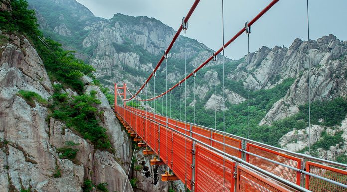 Glass bridge: China opens world’s highest and longest