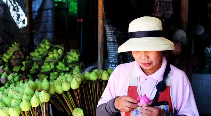 Half of Asia’s travel investment will go to China / Travel News