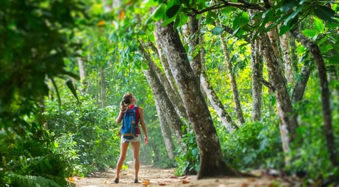 10 Tips for Your First Trip to the Jungle