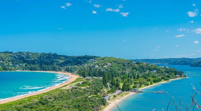 The Ultimate Beaches Right in the Sidney Area