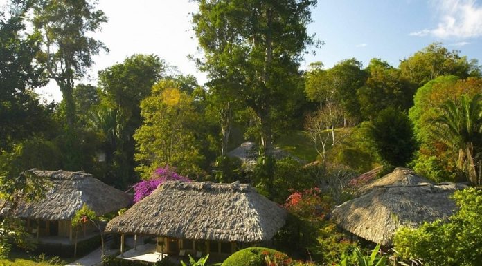 Jungle Getaway in the Heart of Cameroon