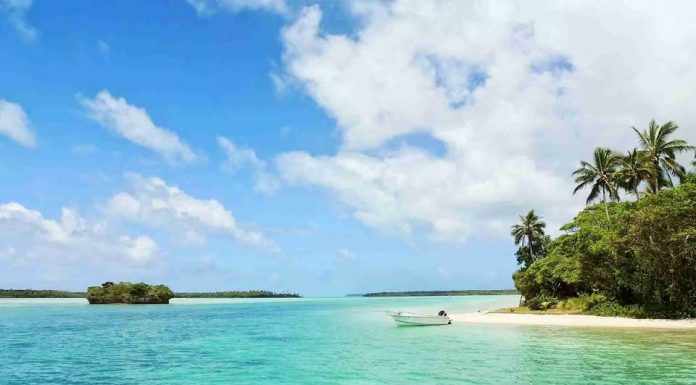 6 Beautiful Beaches Brazil Has to Offer