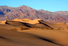 California Desert Travel Tips & Insights