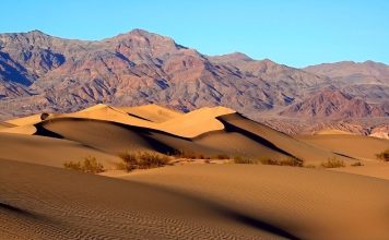 California Desert Travel Tips & Insights