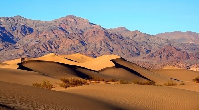 California Desert Travel Tips & Insights