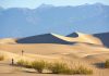 The Mojave Desert Travel Guide