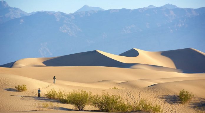 The Mojave Desert Travel Guide