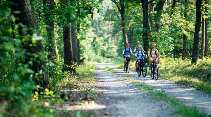 Top 10 Ideas for a Greener Vacation