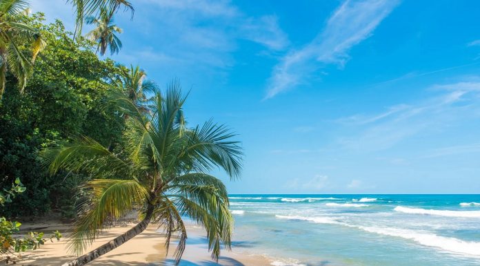 Costa Rica: Living La Vida Loca