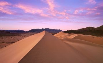 California Desert Travel Insights
