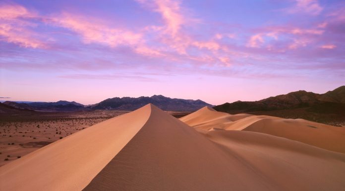 California Desert Travel Insights