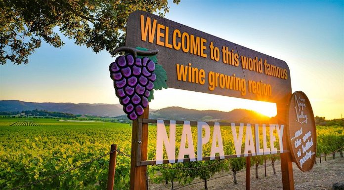 Top 10 Things to Do in Napa Valley (Besides Drink Wine)
